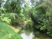 Park Terra Nostra - Furnas - São Miquel, Azoren