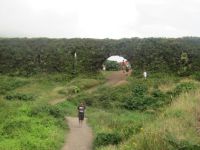 Das alte Aquädukt - auf der Strecke nach Sete Cidades, São Miguel, Azoren