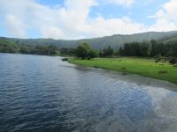 Am Ufer Lagoa Azul - im SEte Cidades - São Miguel, Azoren