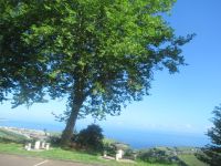 Blick auf die Küste - São Miquel