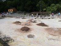 Furnas - Caldeiras - Erdlöcher - São Miquel - Azoren