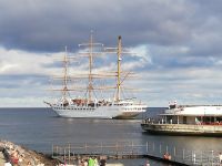 Das Segelschiff - Ponta Delgada - São Miquel, Azoren 