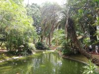 Botanischen Garten – „Jardim António Borges
