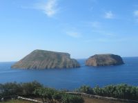 Miradouro da Serretinha Feteira - Ziegenisseln - Terceira - Azoren 
