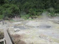 Es sprudels und dampft von den Caldeiras - São Miquel 