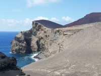 Vulkan Capelinhos - Faial, Azoren 