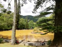 Das Thermalbecken in Terra Nostra Park - São Miquel - Azoren 