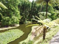  Park Terra Nostra - Furnas - São Miquel, Azoren 