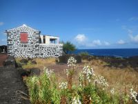 Idyle am Meer in Lajido - Pico, Azoren
