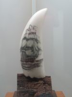 IMG_0585.JPGWalfangmuseum - Gravur an den Zähnen der Wale - Scrimshaw“ , Pico, Azoren