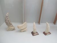 Walfangmuseum  - Museu dos Baleeiros in Lajes do Pico - Azoren