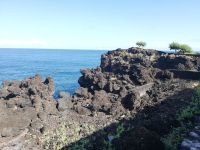 Bizarre Felsenformationen, aber auch Bäume - Pico, Azoren