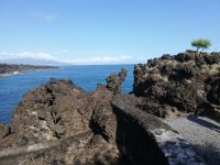 Bizarre Felsenformationen, aber auch Bäume - Pico, Azoren