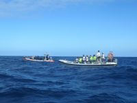 Nachbarboote - Walbeobachtung -  Horta - Faial, Azoren