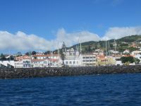Walbeobachtung -  Horta vor uns - Faial, Azoren