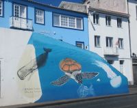 Ein bemaltes Haus in Horta - Faial, Azoren 