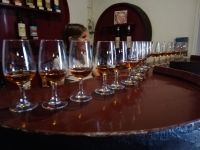 Weinprobe in Wine Museum im Biscoitos - Terceira, Azoren