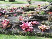 Jardim Duque da Terceira - Angra de Heroismo, Terceira, Azoren
