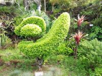 Jardim Duque da Terceira - Angra de Heroismo, Terceira, Azoren