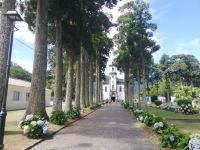 Sete Cidades - Igreja de São Nicolau und Park - São Miguel, Azoren