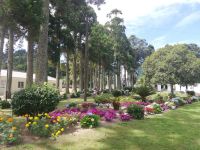 Sete Cidades -schön bunt - São Miguel, Azoren
