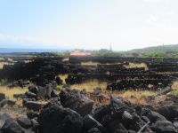 Landschaften auf Pico - Azoren 