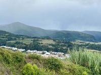 Grün, so grün, auch ohne Sonne...