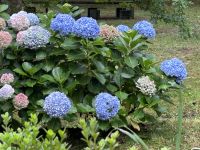 die dürfen nicht fehlen