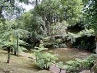 der schönste botanische Garten der Azoren