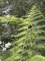 ...erinnert an Neuseeland