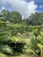 es gibt allerorten Überraschendes...