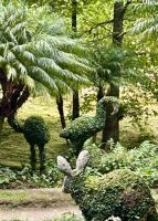 Hase und Co sind auch da