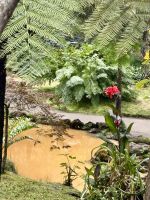 und intensive Farbtupfer