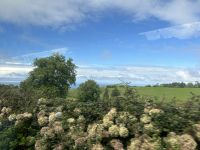 auf dem Weg zur Teeplantage...