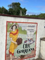 die einzige Teeplantage in Europa