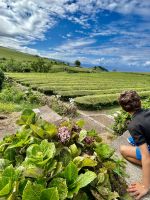 alles schön gepflegt