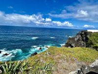 diese Farben sind berauschend