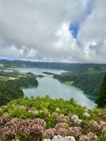 doch der Anblick ist dennoch bezaubernd schön!