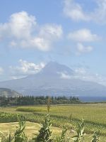 wieder der Pico bei der Rückkehr nach Horta