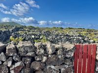 Natursteinmauern schützen die Reben.JPG