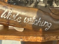 die wollen wir sehen!