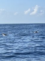 und haben ihren Spass wie wir!