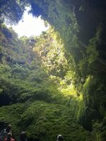hinunter in den grünen Schlund; Vulkanhöhle 