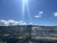 Weinfelder auf der Insel Terceira