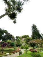 Rundgang in Angra do Heroismo 