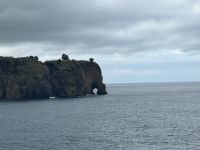 unterwegs - ein Elefant?