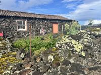 Kleingarten mit allerlei Interessantem