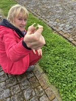 Reiseleiterin Christina findet das Glück