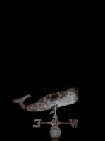 São Miguel, Ponta Delgada, Azores, Portugal