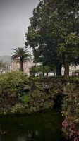 Faial, Horta, Azores, Portugal